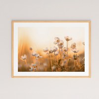 Tablou Floraza Multicolor 48x1.5x33 cm - 1
