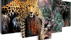 Tablou - Leopard Relaxation 100x50 cm