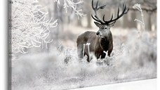 Tablou - Lonely Deer 120x80 cm
