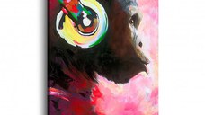 Tablou - Monkey Music 40x60 cm