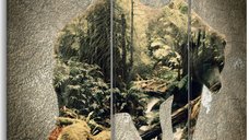 Tablou - The Bear in the Forest 90x60 cm