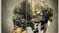 Tablou - The Bear in the Forest 90x60 cm
