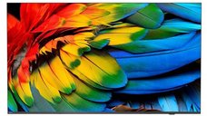 Televizor LED Philips 50HFL6214U/12 de 127 cm (50 inch) cu Ultra HD 4K si Smart TV