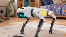 Catel robot inteligent RC cu telecomanda si aplicatie, comenzi vocale si functii AI, gri