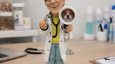 Figurine decorative profesii – Colectie amuzanta de 20 cm pentru birou si cadouri