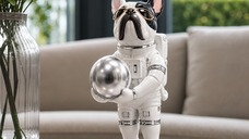 Statueta caine astronaut din rasina, cu glob metalizat, 18 cm