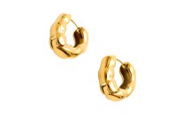 Cercei ALDO aurii, CARANDAR 710, din metal - 1