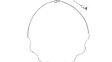 Colier ALDO argintiu, WAVELLA 973, din metal