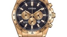 Ceas de mana Citizen Quartz AN8233-51E - Stil si Precizie