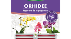 Ingrasamant betisoare pentru orhidee Substral 10 buc