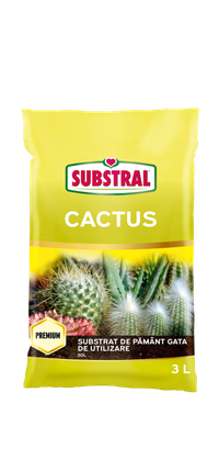 Substrat de Pamant pentru cultivarea cactusilor Substral 3 L - 1