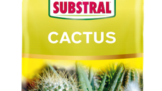 Substrat de Pamant pentru cultivarea cactusilor Substral 3 L