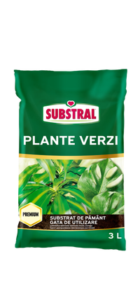 Substrat de Pamant pentru plante verzi Substral 3 L - 1