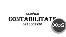 Servicii CONTABILITATE