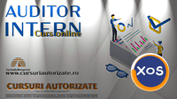 Curs online Auditor Intern - 1