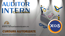 Curs online Auditor Intern