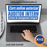 Curs online autorizat Auditor intern – SMI - 1