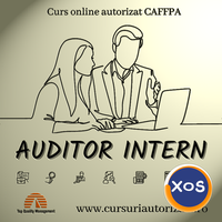 Curs online autorizat Auditor intern - 1