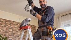 Servicii Electrice Casnice în Sector 4, București