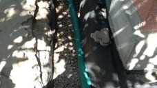 Instalatii de canalizare și drenaje