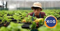 Jobs in Romania for workers from Asia, Africa, etc. - 3