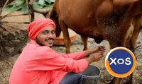 Jobs in Romania for workers from Asia, Africa, etc. - 6
