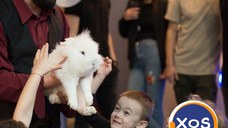 Magician Râmnicu Vâlcea