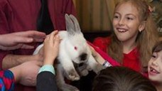 Petreceri copii Rm Valcea magician