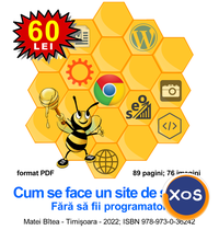 Cum se face un site de succes - 1