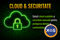 Dezvoltare Software, Aplicații Web, AI, SEO și Marketing Digital - 4