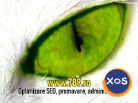 Bitea Matei PFA: Optimizare SEO Timisoara, promovare site-uri - 1