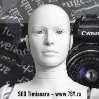 SEO Timisoara, optimizare si promovare site - 5