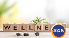 Servicii de masaj oriental senzual exclusiv pentru femei la domiciliul