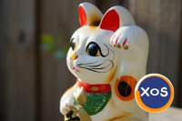 Analiză Feng Shui Completă pentru 200mp - 3