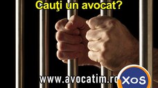 Avocat Timisoara – traducatori, mediatori, notari, executori, juristi.