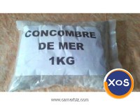 Castraveți de mare (castraveți de mare sau castraveți de mare) - 3