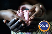 Compatibilitatea între două persoane în astrologia chineză - 1