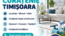 Curățenie Timiș și Arad - VIV CRISTAL IR
