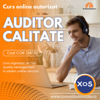 Curs online autorizat Auditor intern - 1