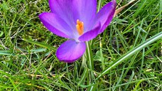 Se vinde loc de veci