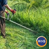Execut lucrări de întreținere spații verzi - 5