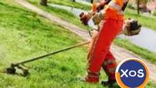 Execut lucrări de întreținere spații verzi