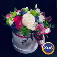 Extinderea rețelei de florării OkFlora în România - 1