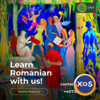 Flexible Romanian Language Courses for Busy Professionals - 1