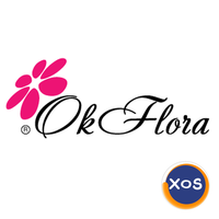 Flori de lux și trandafiri criogenați – livrare București - 1