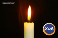 Love spells with words in the wood, +27782062475 ,Vaduz Lithuania,Viln - 2