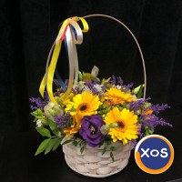 Plante de primăvară care îți transformă casa - 1