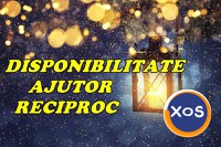 Senior, disponibil sa sprijin si sa aduc un plus de armonie caminului - 2