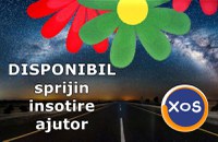 Senior, disponibil sa sprijin si sa aduc un plus de armonie caminului - 3