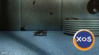 Servicii DDD Profesionale-DDD Biodera - 1